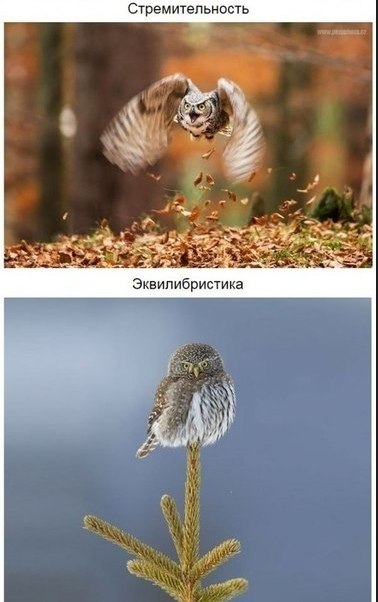  co o ec c aeca... o oce: - 2