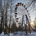  , , 50  -  1  2019    19