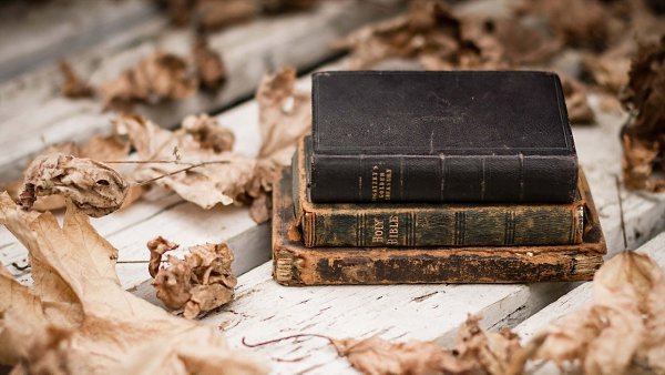 ПОРА умнеть. Список книг на заметку.1. «Твое свободное время»,Виктор БолховитиновКак известно, ...