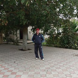 ��������, ������, 56 ���