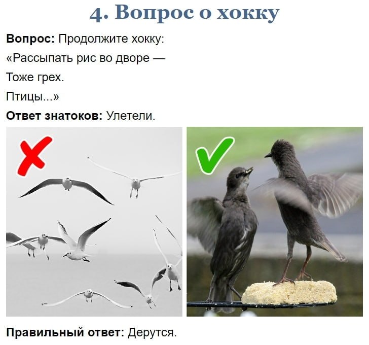 op p  ep ? e? K?, p   o,   ac yc? - 4