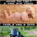  **, , 49  -  3  2019    