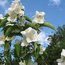 ���� �����, ������, 57 ��� - ��������� 26 ������ 2019 � ������ ���� ����������