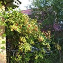 ���� ������, �����, 60 ��� - ��������� 17 ������ 2019 � ������ ������ ��������