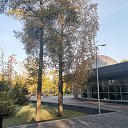  , , 50  -  4  2019   3.10.2019 