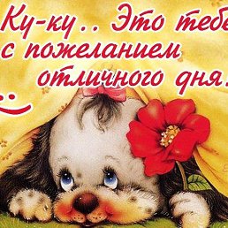 �����, ������-��-����, 27 ���