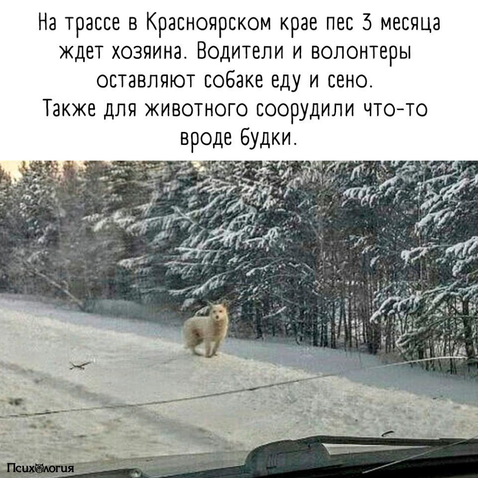  .,       ..