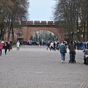 ... .... ... ....   ... .... ... ....