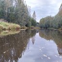 �� ����.. �� ������� ���� ����������