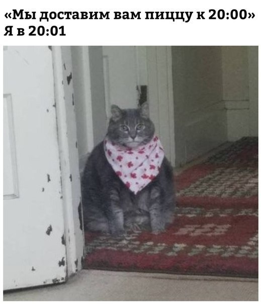    - 6  2019  02:25