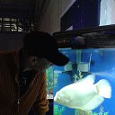 ���� �������, �������, 41 ��� - ��������� 11 ������� 2019 � ������ ���� ����������