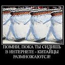 ���� ������, �����-��������� - ��������� 12 ��� 2019 � ������ ���� ����������