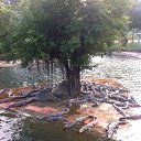 ���� �����, ����-���, 50 ��� - ��������� 10 ���� 2019 � ������ ���� ����������