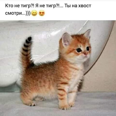 )))