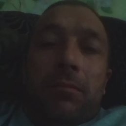 ��������, ����, 41 ���