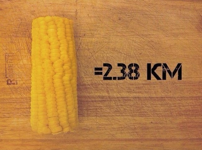   ,       ,     - 6