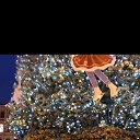 ���� �����, �����-��������� - ��������� 11 ������ 2020 � ������ ������ ��������