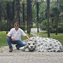  Adel Sha,  -  27  2020    