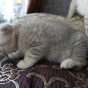 ���� ����, ������ �����, 70 ��� - ��������� 9 ������� 2020 � ������ ���� ����������