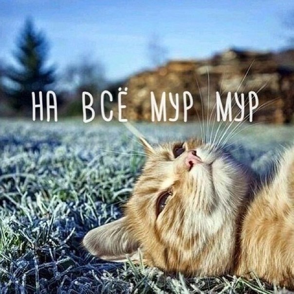 po  oe e oo. . - 3