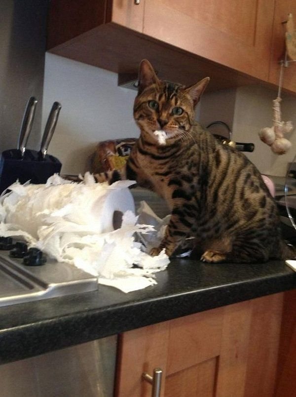   : 1.     ? 2.     ? 3.  ... - 6