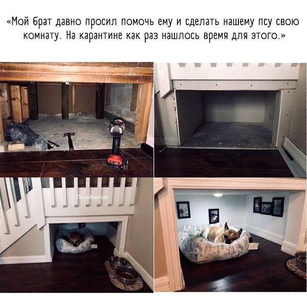 Теперь у этого малыша официально есть своё местечко. Оцените, если не сложно.