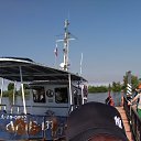 ���� ����, ������, 41 ��� - ��������� 15 ��� 2020 � ������ ���� ����������