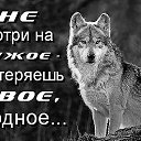 ���� �����, �����, 64 ���� - ��������� 7 ������ 2020 � ������ ������ ��������