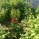 ���� ������, ������ - ��������� 30 ���� 2020 � ������ ����� � ����� �� ����