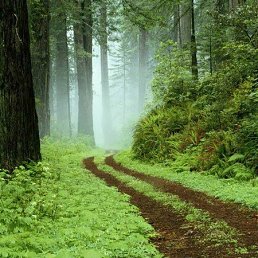 ����, ���������, 63 ����