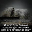 ���� �, ������ - ��������� 2 ������� 2020 � ������ ���� ����������