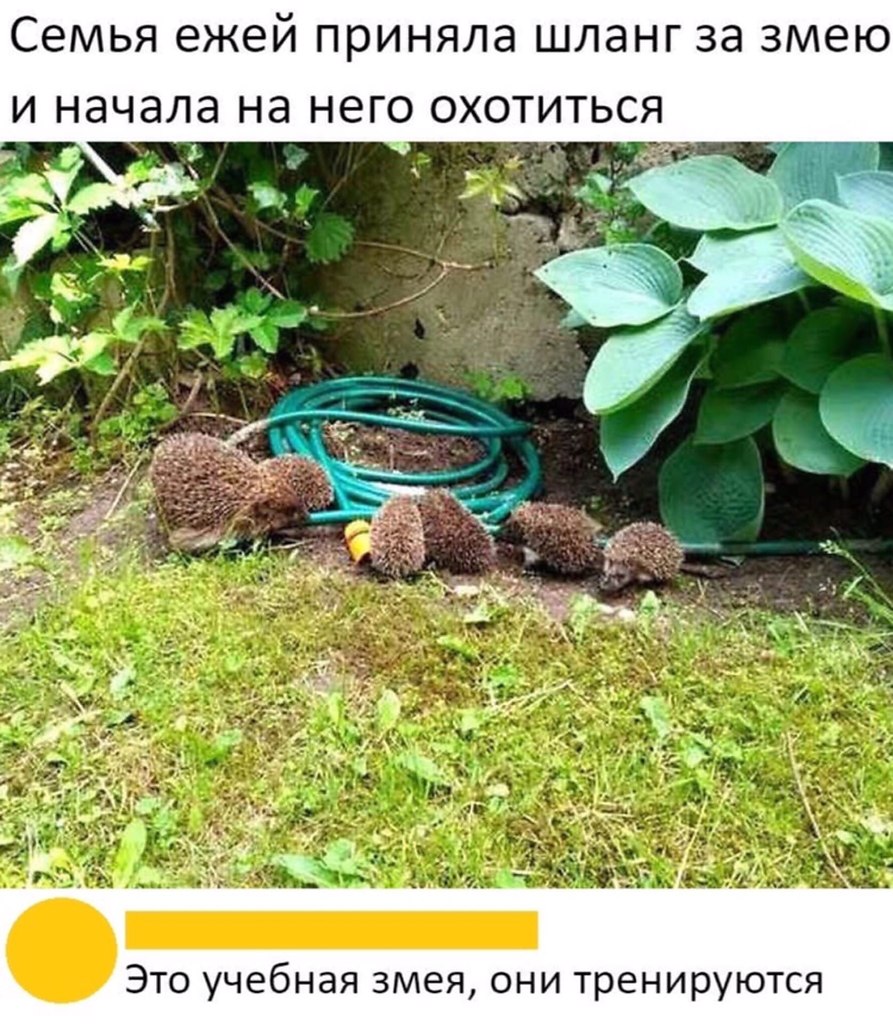    )