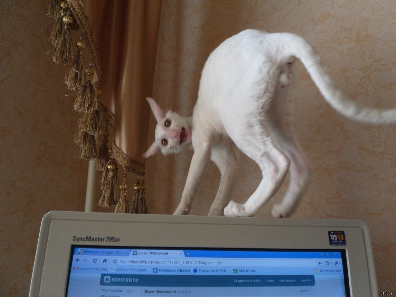   : 1.     ? 2.     ? 3.  ... - 3