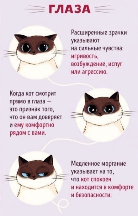    :   -  - 9