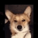 ���� �������, ��������, 53 ���� - ��������� 11 ������� 2020 � ������ ���� ����������