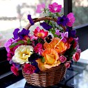 ���� ___����, �������� - ��������� 18 ���� 2020 � ������ �������