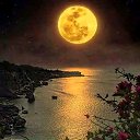 ���� ������, �������, 50 ��� - ��������� 13 ����� 2020 � ������ ���� ����������