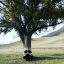 ���� �����, ���������, 37 ��� - ��������� 8 ����� 2020 � ������ ���� ����������