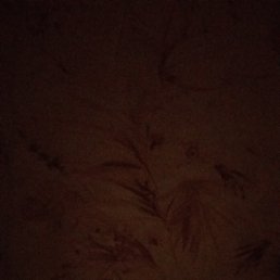 ���� �����, ������, 45 ��� - ��������� 12 ������ 2020