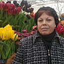 ���� �����, ������, 64 ���� - ��������� 9 ����� 2020 � ������ ���� ����������