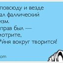 ���� ˸�@, ������ - ��������� 7 ������ 2020 � ������ ������ ��������