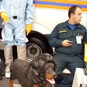 ���� ����, ������, 60 ��� - ��������� 31 ����� 2020 � ������ ���� ����������