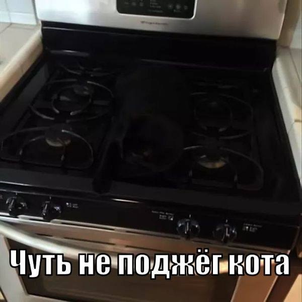    - 24  2020  20:42