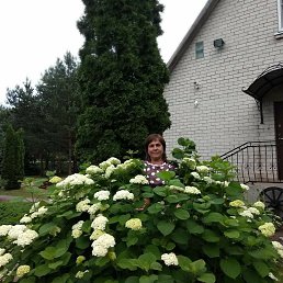 ��������, ���������, 65 ���