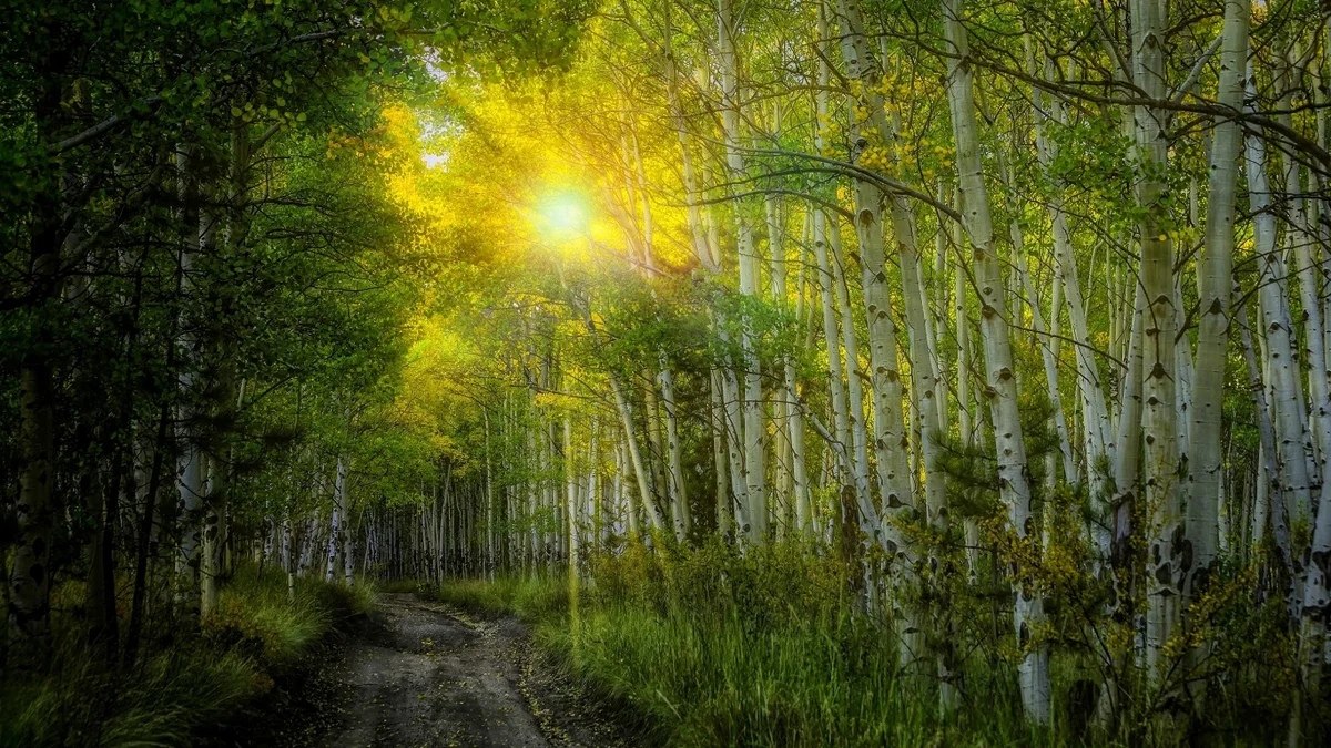   ,    . - 30  2020  22:24