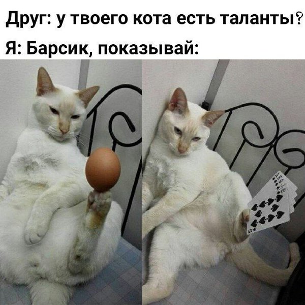 ������� - 21 ����� 2020 � 19:01