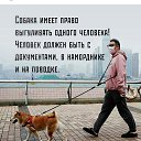 ���� ������, ������, 28 ��� - ��������� 23 ������ 2020 � ������ ���� ����������