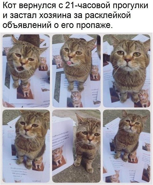 ������� - 8 ������ 2020 � 19:13