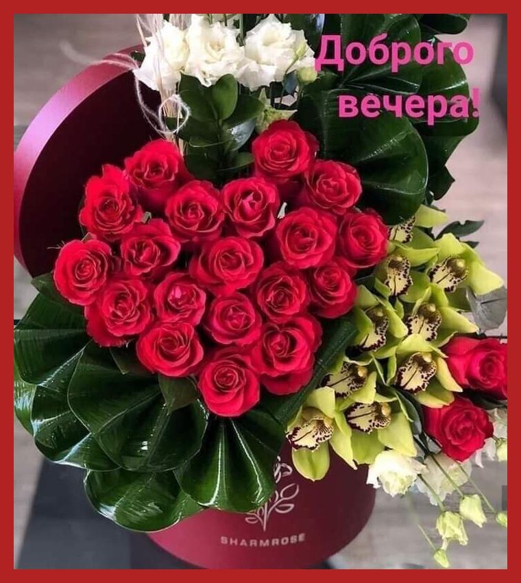   ,    . - 11  2020  16:22