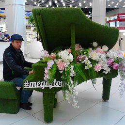 ��������, ���������, 67 ���